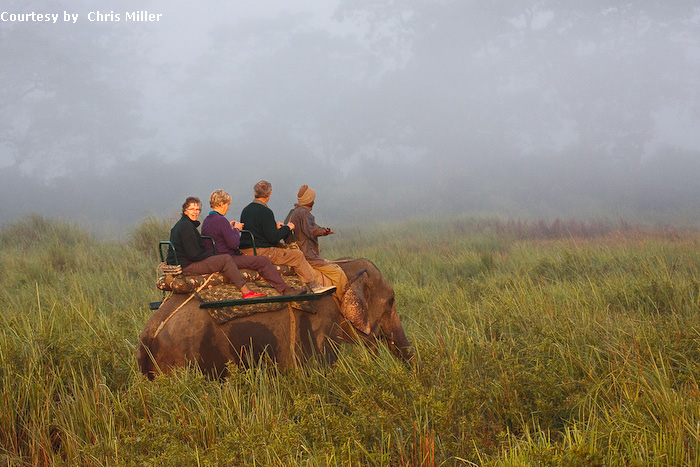 Kaziranga Rhino Safari Adventure